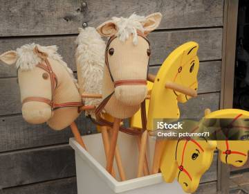 Miniatura Strefa Wakacyjnych Aktywności: hobby horse